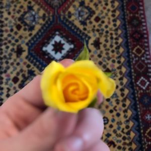 Meet your Posher, Dadyar